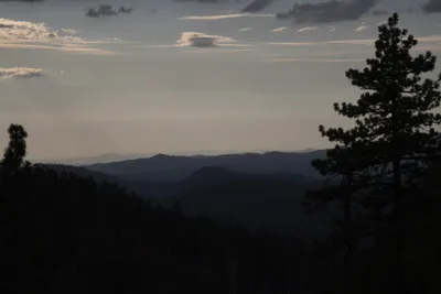 DSC_4499 (Large).JPG